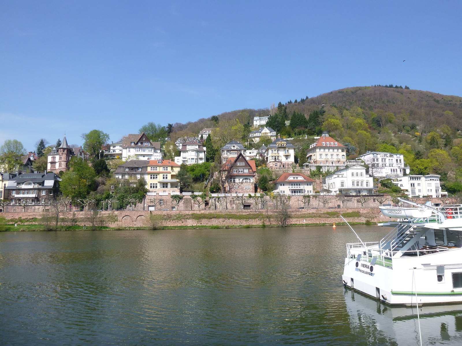 Motorboot am Neuenheimer Neckarufer